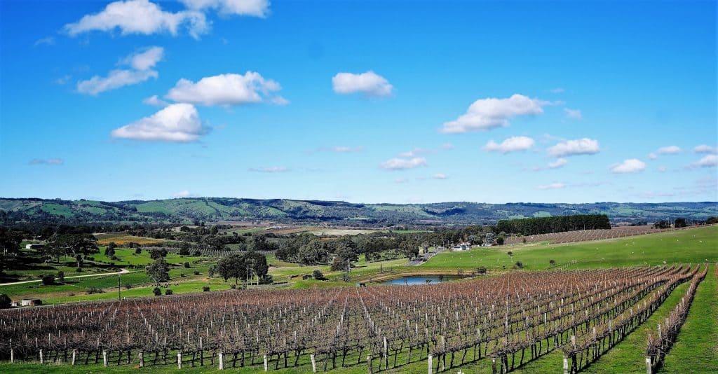 buy blewitt springs wines online
