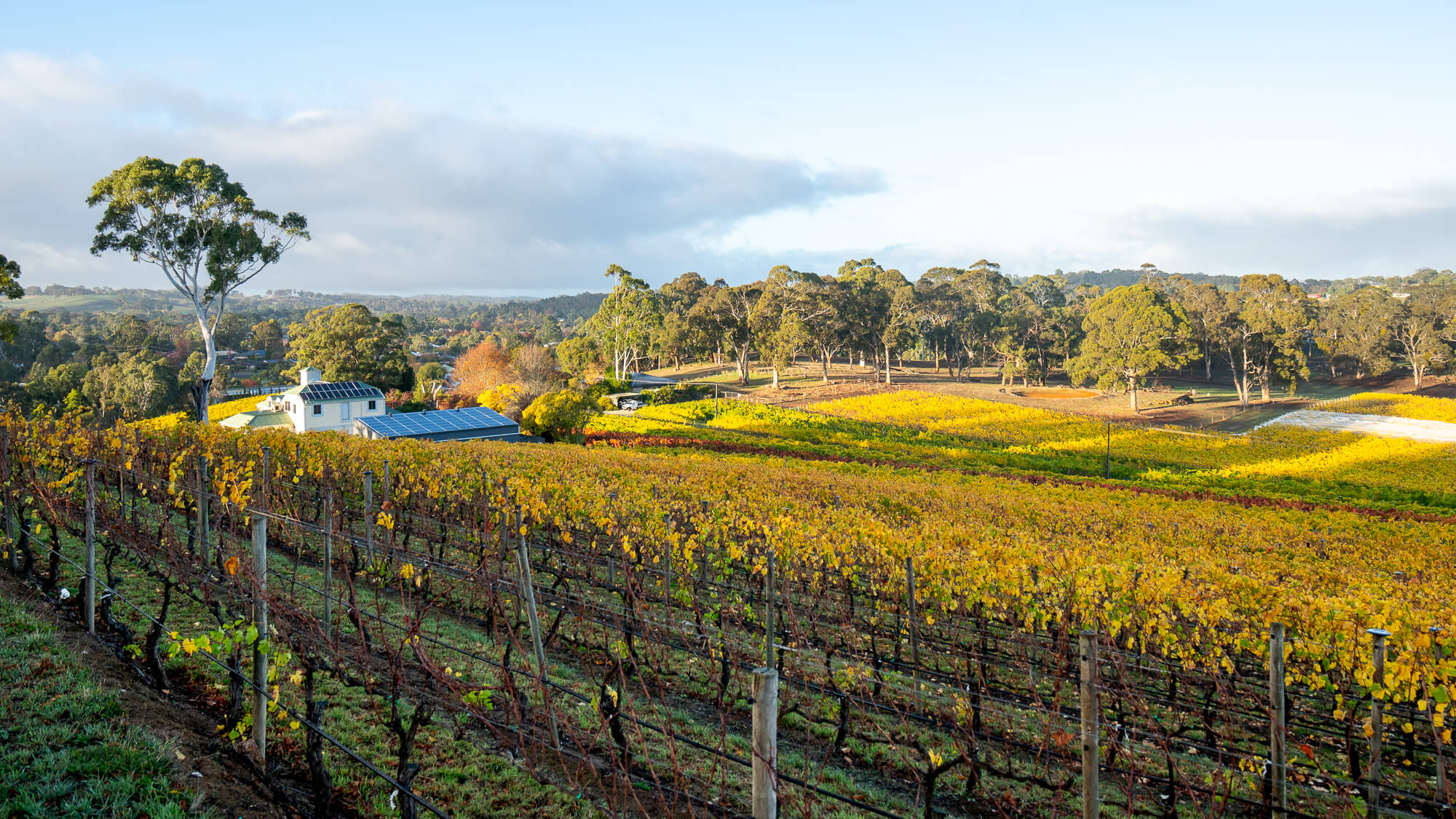 Hahndorf Hill: Austrian varietals wine in the blissful Adelaide Hills