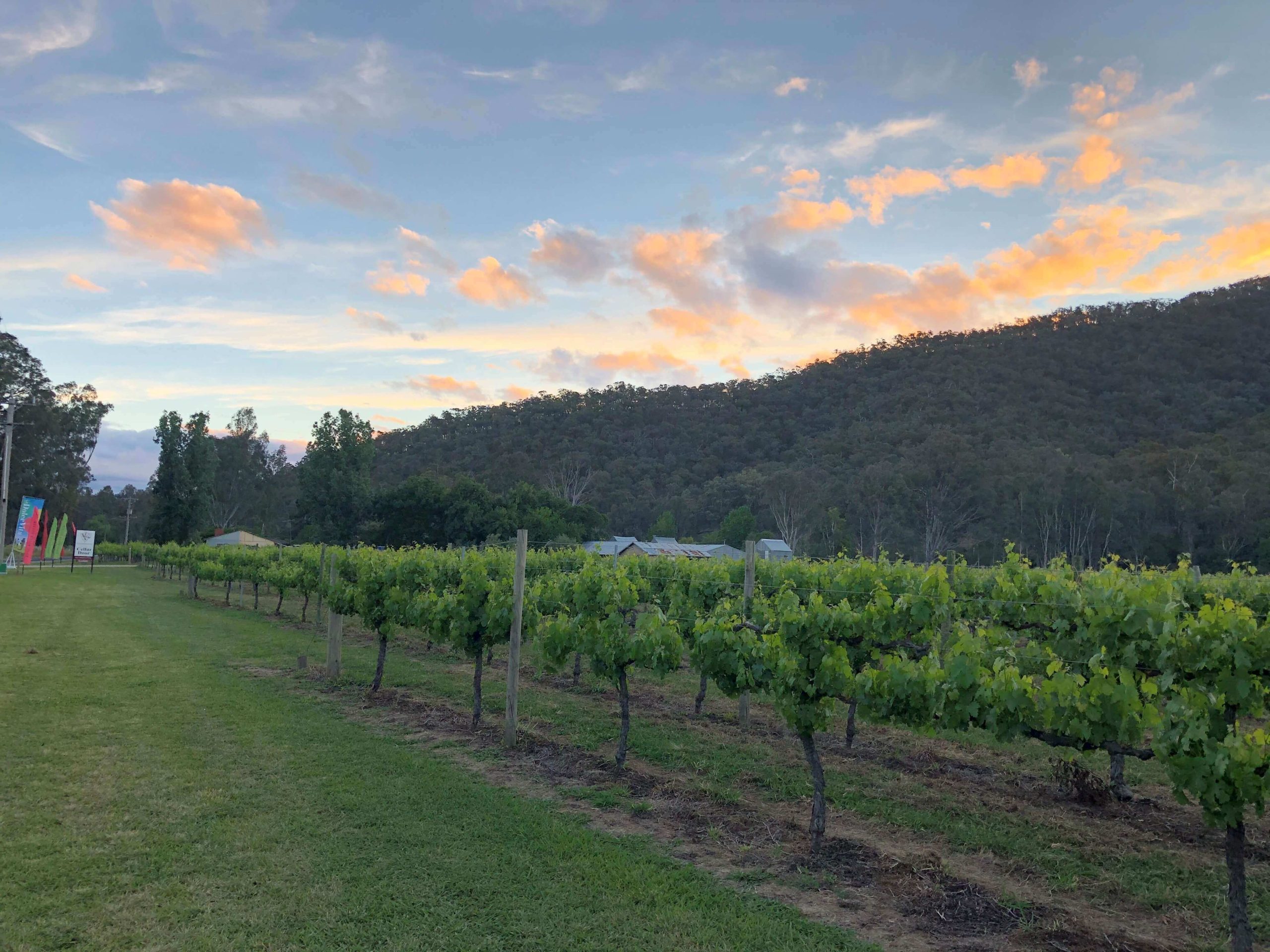 King River Estate: A Jewel in North East Victoria’s Wine Region