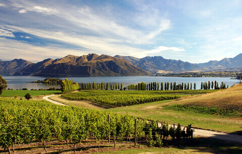 Stunning Bio Dynamic Certified Rippon Vineyard in Lake Wanaka, Central Otago