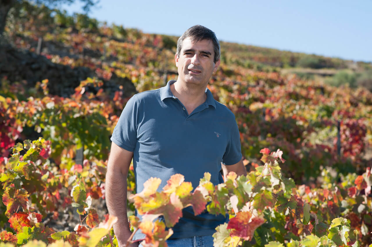 Luis Seabra, the Portguese Rockstar Winemaker from Douro Valley